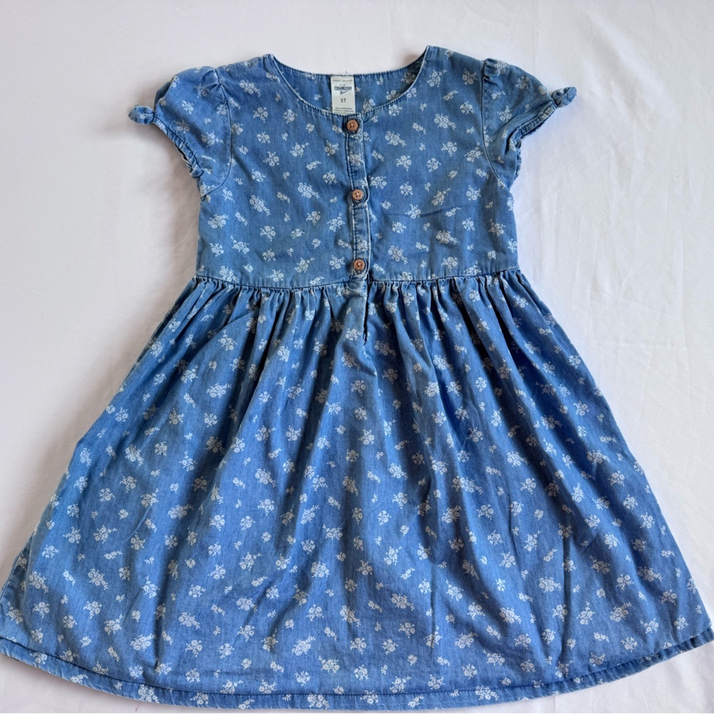 OshKosh B'gosh Blue Floral Button Dress